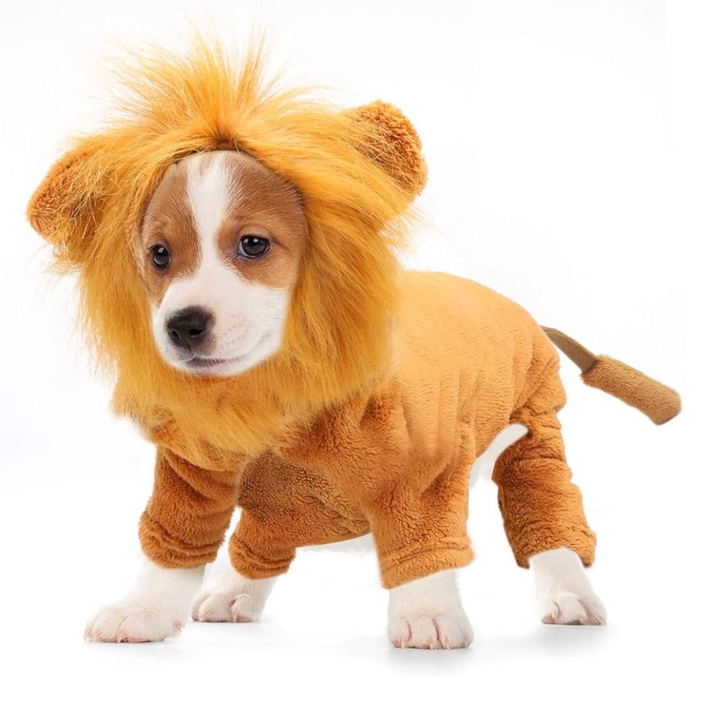NWOT Dog Lion Costume
